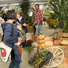 Mahlerhof 28-09-2014 364.jpg
