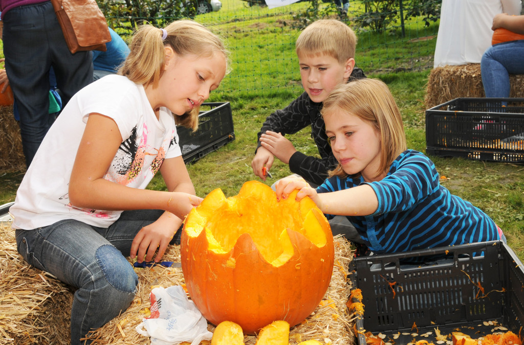 Mahlerhof 28-09-2014 372.jpg