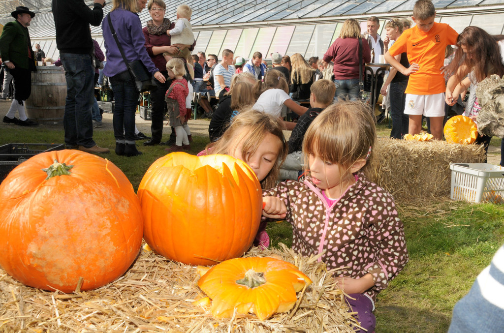 Mahlerhof 28-09-2014 386.jpg