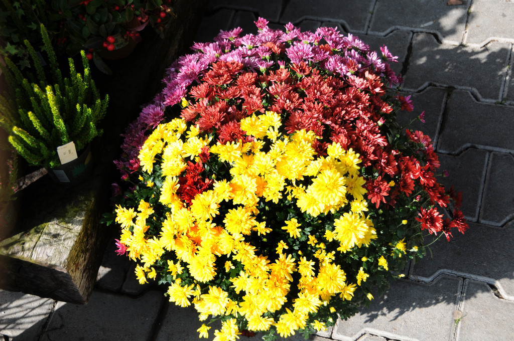 Mahlerhof 28-09-2014 405.jpg