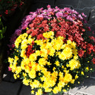 Mahlerhof 28-09-2014 405.jpg