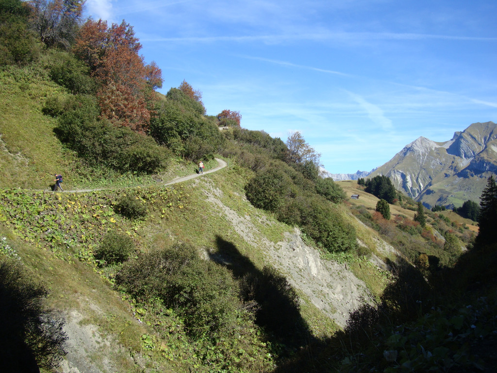 DSC07523.JPG
