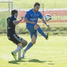 file6h8okqvma3p1netig5qw.jpg
