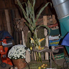 DSC_3014.jpg