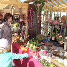 IMG_3521.jpg