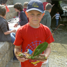 Stufen20_jpg-1272818771