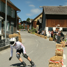 IMG_3208_JPG-1272819258