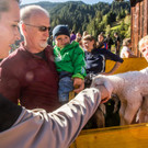 Schafscheide in Gaschurn 2014