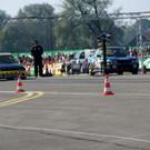 DSC08584.JPG