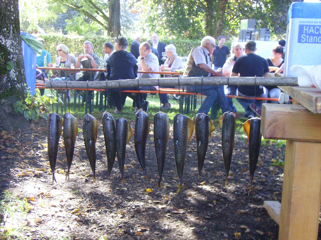 PICT0093.JPG
