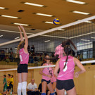 DSC_0253.JPG