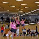 DSC_0258.JPG