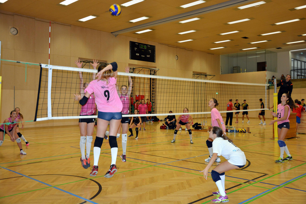 DSC_0261.JPG