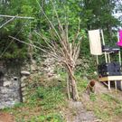 DCP_0866_0001.JPG