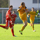 file6h8rjztw2vr1hd48n5qv.jpg