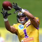 EFL. Raiffeisen Vikings vs. Badalona Dracs
