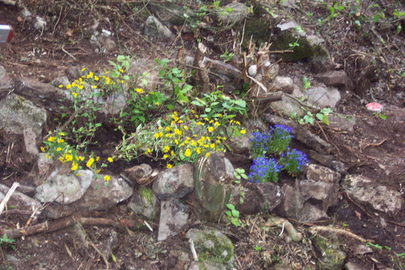 DCP_0862.JPG