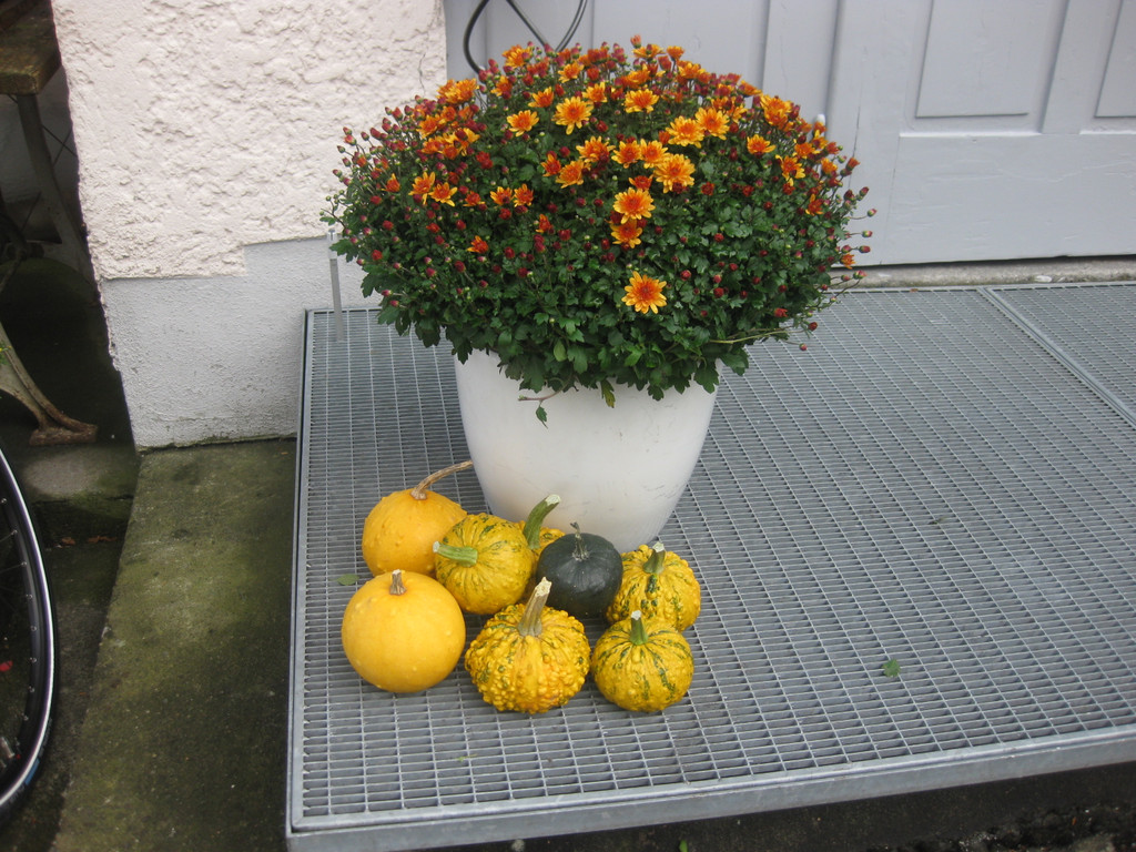 Er__ffnung Clublokal 50_ am 25_09.JPG