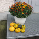 Er__ffnung Clublokal 50_ am 25_09.JPG