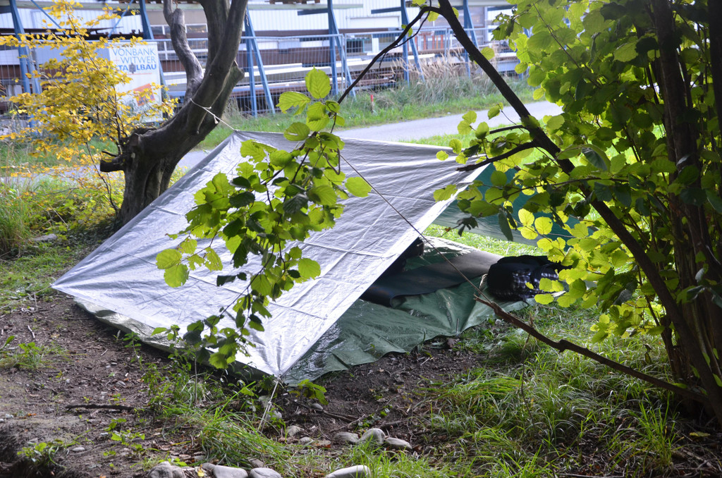 DSC_0029.JPG