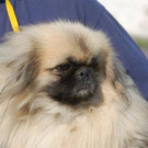 normal_DSC_0284_1.jpg