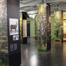Vorarlberger Museumswelt und neues Jagdmuseum