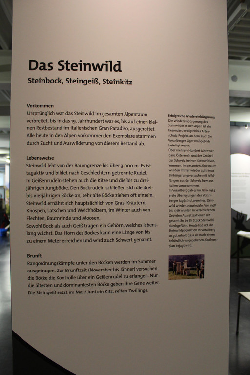 IMG_9186.JPG