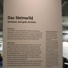 IMG_9186.JPG