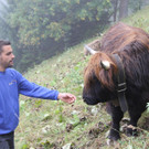 Jungbauer Thomas Heiseler