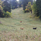IMG_9859.JPG