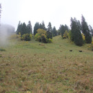IMG_9860.JPG