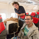 Angereist und eingezogen: Koala "Wirri Wirri" im Tiergarten Schönbrunn 