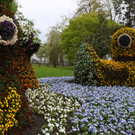 Frühjahrsausflug Insel Mainau