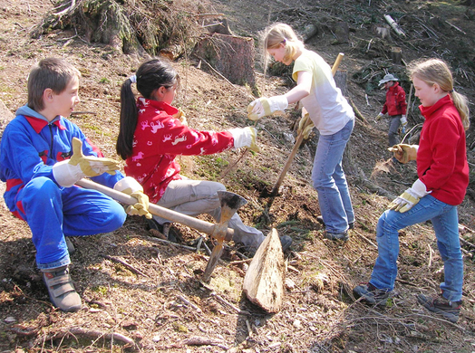 Forst6_jpg-1272833683