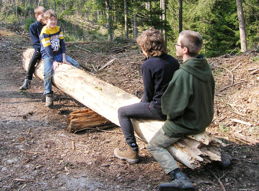 Forst8a_jpg-1272833703