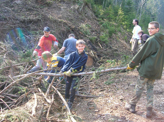 Forst7a_jpg-1272833744