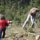 Forst9_jpg-1272833767