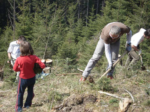 Forst9_jpg-1272833767