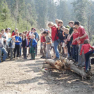 Forst10_jpg-1272833773