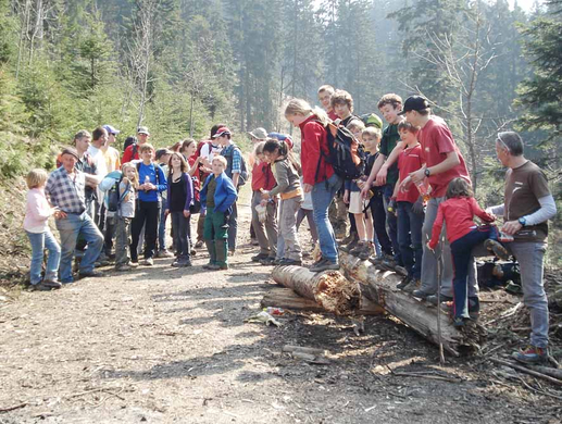 Forst10_jpg-1272833773