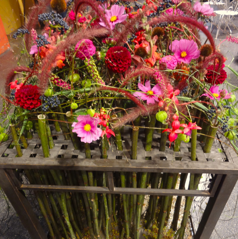 DSC03294.JPG