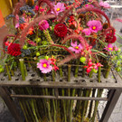 DSC03294.JPG