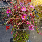 DSC03298.JPG