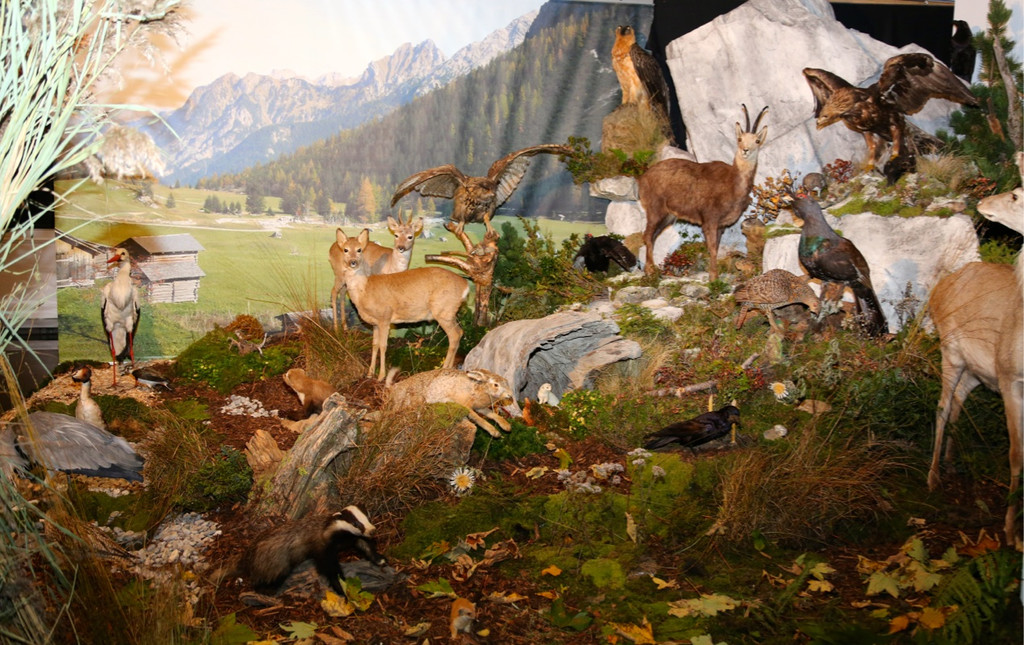 KOE_Eroeffnung Jagdmuseum 24.jpg