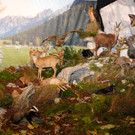 KOE_Eroeffnung Jagdmuseum 24.jpg