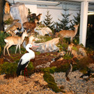 KOE_Eroeffnung Jagdmuseum 25.jpg