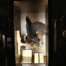 KOE_Eroeffnung Jagdmuseum 30.jpg