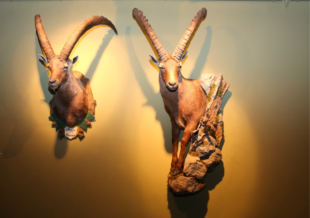 KOE_Eroeffnung Jagdmuseum 34.jpg