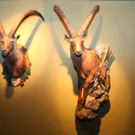 KOE_Eroeffnung Jagdmuseum 34.jpg