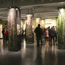 KOE_Eroeffnung Jagdmuseum 42.jpg